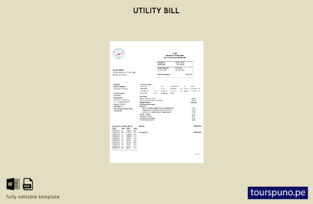 listo para imprimir plantilla de Word   factura de servicios públicos de elec 18